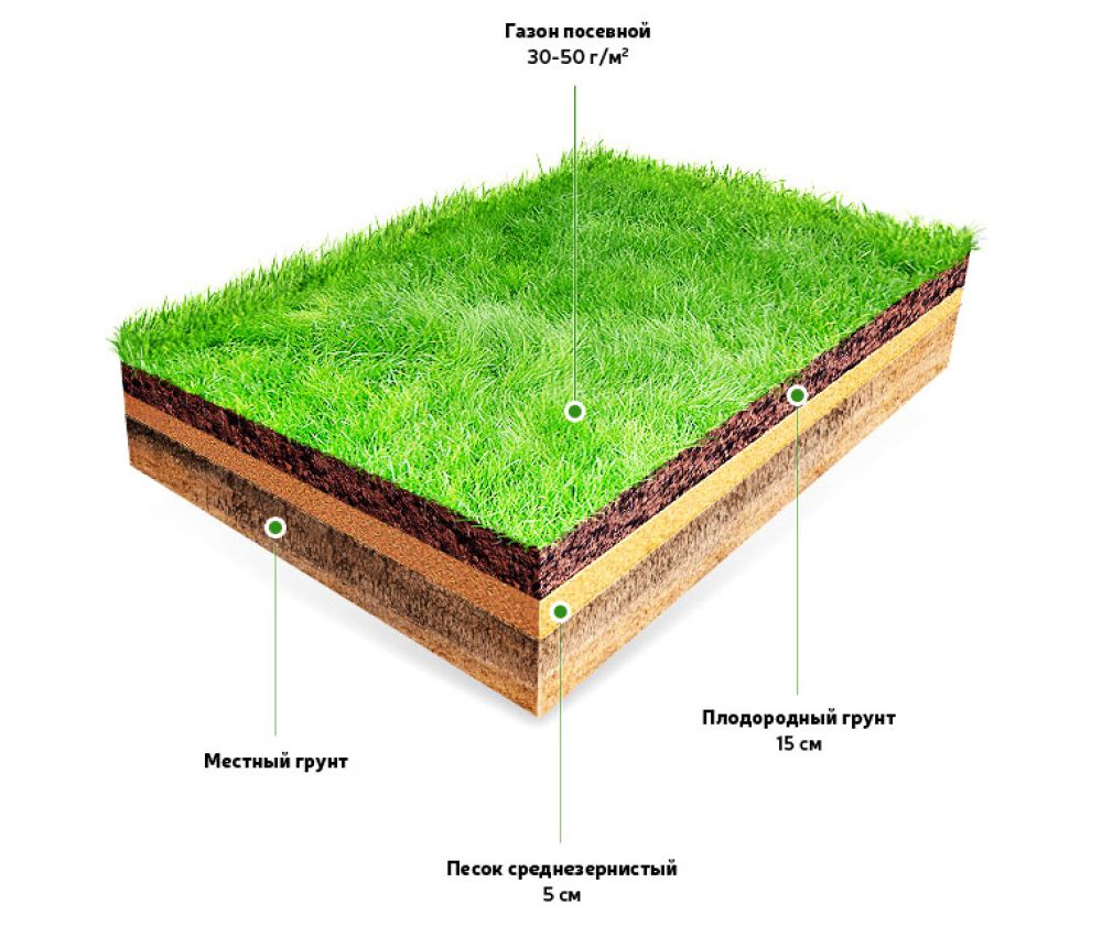 Снять слой почвы на участке. Схема устройства газона посевного. Газон схема. Технология устройства газона методом посева. Пирог укладки рулонного газона.