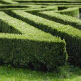 garden maze in the lednice castle park picjumbo com