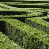 garden maze picjumbo com